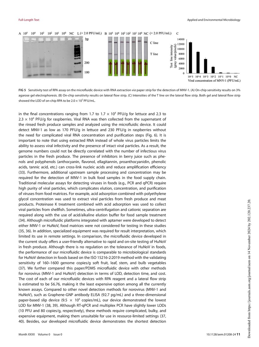 Hybrid paperPDMS microfluidic device integrated with RNA extraction and recombinase polymerase amplification for detection of norovirus in foods-囄-10.jpg