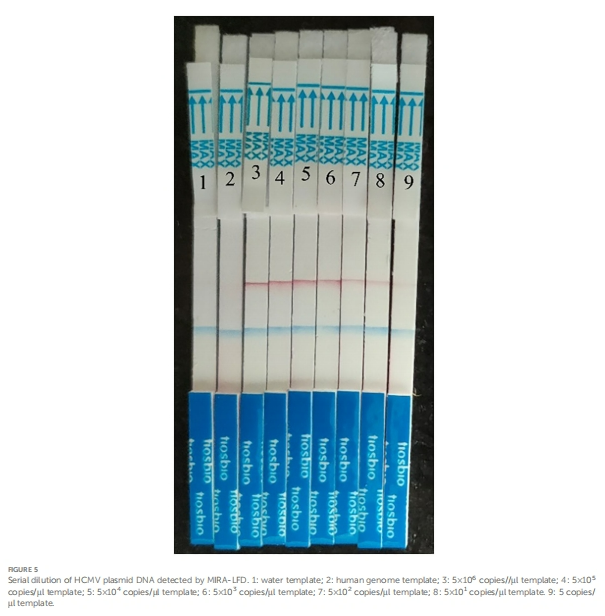 8fc4381be41434c09e0afd420ca7ab9b.png