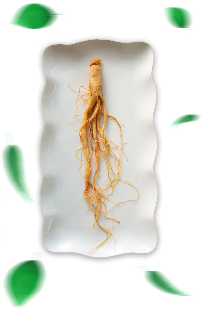 东北长白山保鲜人参100g袋