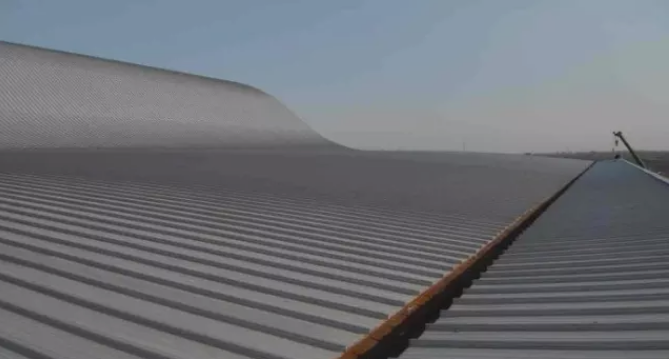 XVi