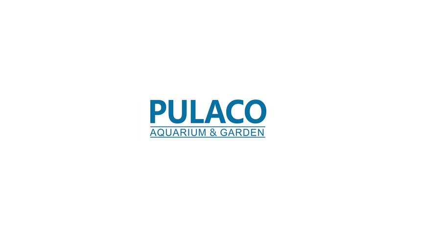 PULACO logo3.jpg