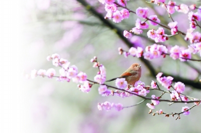 �D���^���ل��I �ĸ��_���ٳ��l