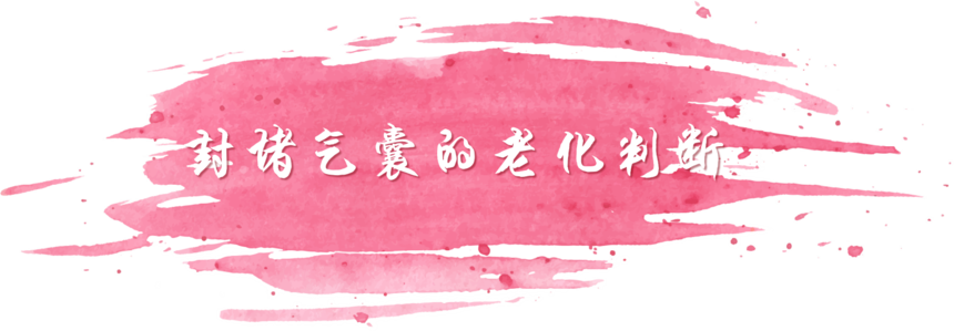 ͼƬ1.png