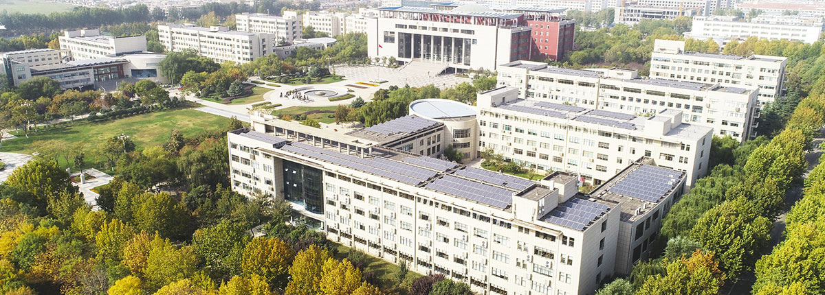 ɽ������ѧԺ��Ŀ׮������