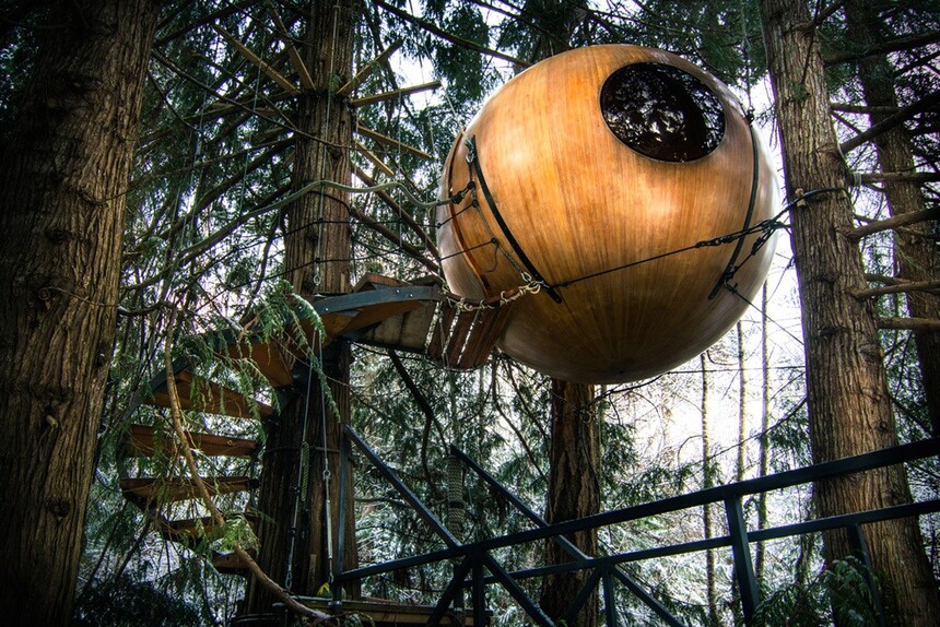 1748221613767649.jpg treehouses_hotel.jpg