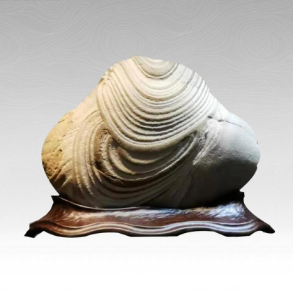 曹衣出水_观赏石[奇石]艺术网『中国百石欣赏』