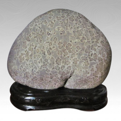 绩溪金沙菊花石