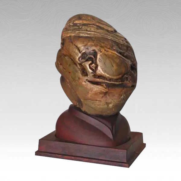 丑与美_中国观赏石[奇石]艺术网『中国百石欣赏』