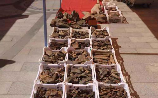 �ɻ�����ʯ�������ʯչ ǧ��ٹֳ��ղ��³�