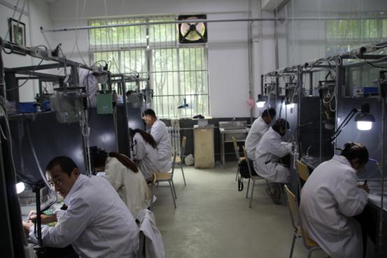 ����ʡ�׽챦��ʯְҵ���ܴ�����ʯ��̱�������������ְԺ����