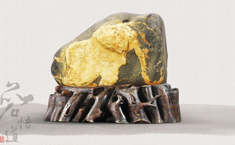 ¹úÊ¯Íø¾«Æ·ÉÍÎö£ºÏó²»Ïó ¹úÊ¯Íø¾«Æ·ÉÍÎö£ºÏó²»Ïó