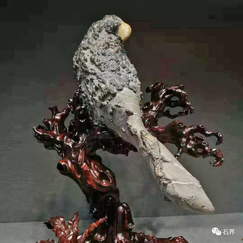 ���������Ӻ�����ʯ˵��ȥ