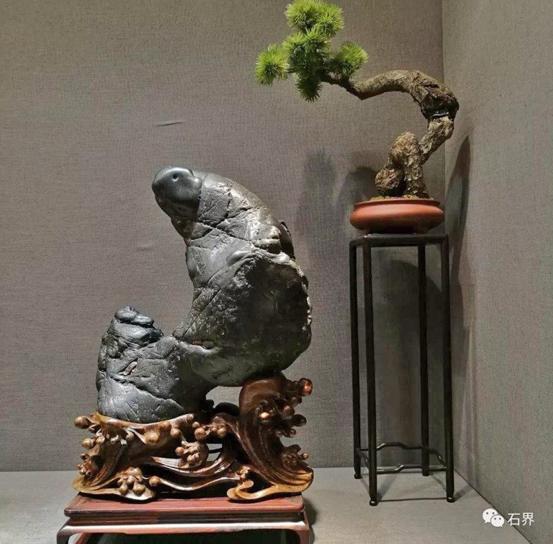 ���������Ӻ�����ʯ˵��ȥ