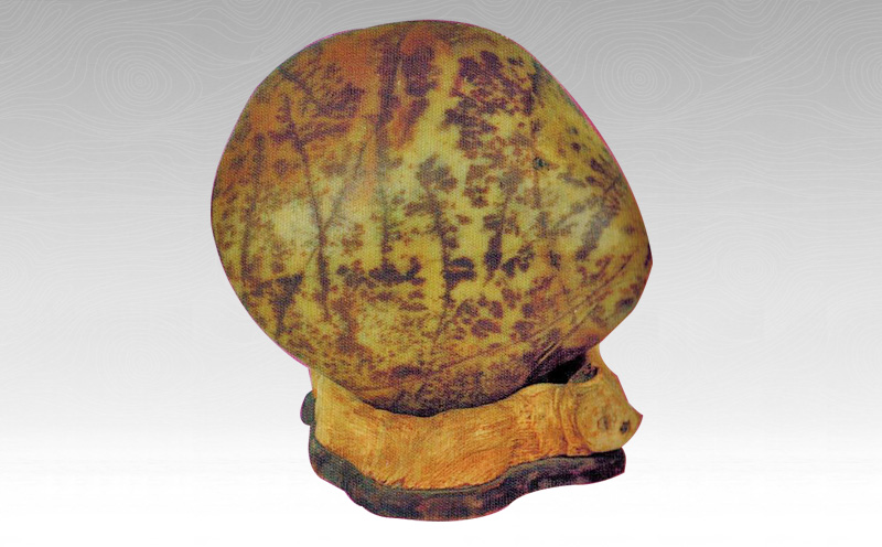 ��ɫ(��Сʯͷ�ǡ�֮��)