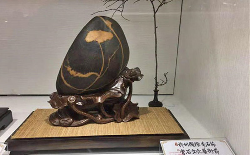 江华观赏石柳州放异彩 2方金纹石获全国画面石*高奖 江华观赏石柳州放异彩 2方金纹石获全国画面石*高奖