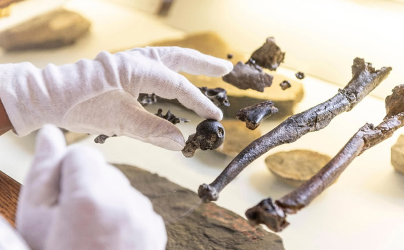 �¹����ֵ�1160����ǰ������Գ�໯ʯ��������ֱ������������