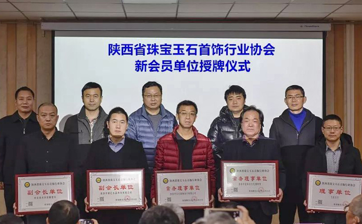 ֻ����Ϧ�����ػ�������ʡ�鱦��ʯ������ҵЭ���ٿ�2020ӭ�����