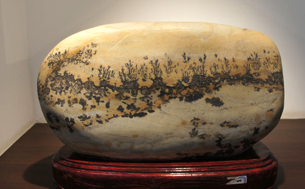 精品观赏石,奇石欣赏 精品观赏石,奇石欣赏