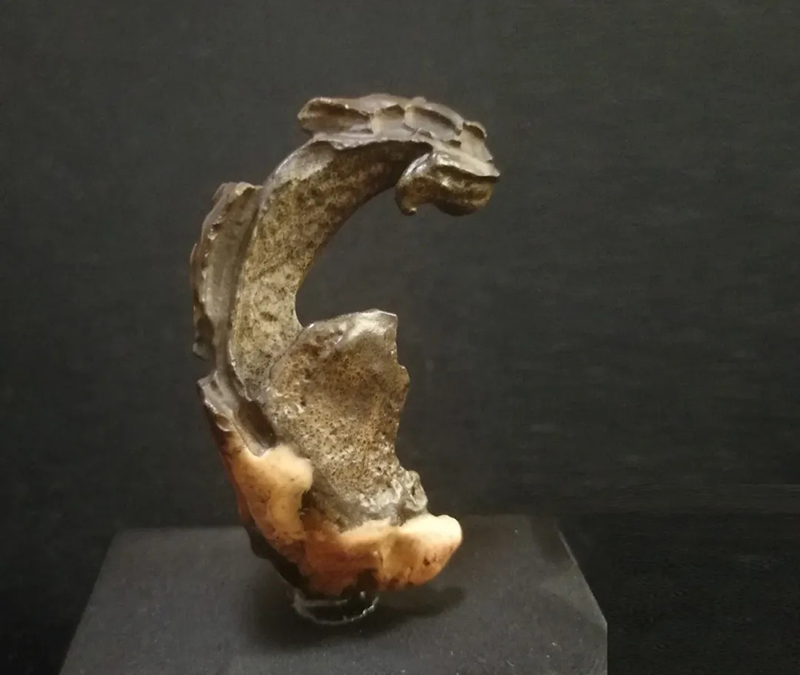 �Ĵ���ʯ����ʯ�Ļ���̫��ʯ��Ʒ�����ղؼ�ֵ