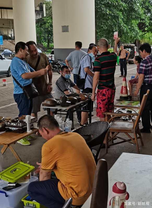 ��Ӧ��̯���ã������Ͻ���ʯ��̯��̯ ��ĩǰ�������Ա��������ﲻ��