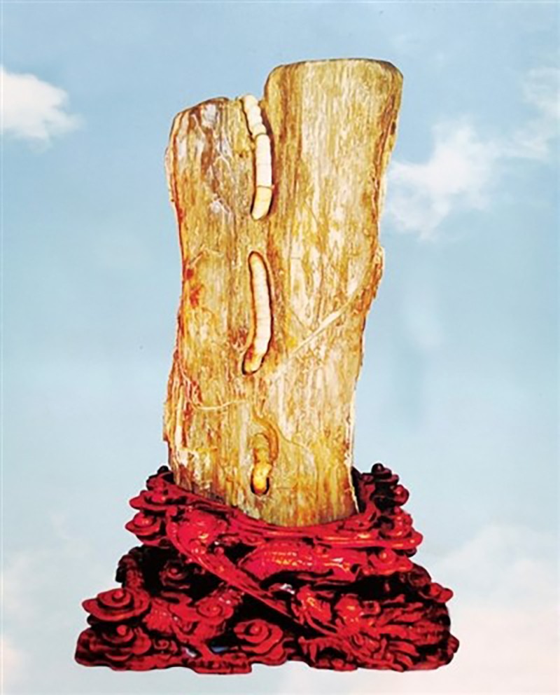 �ź����������ղ���ʯ�軯ľ50����