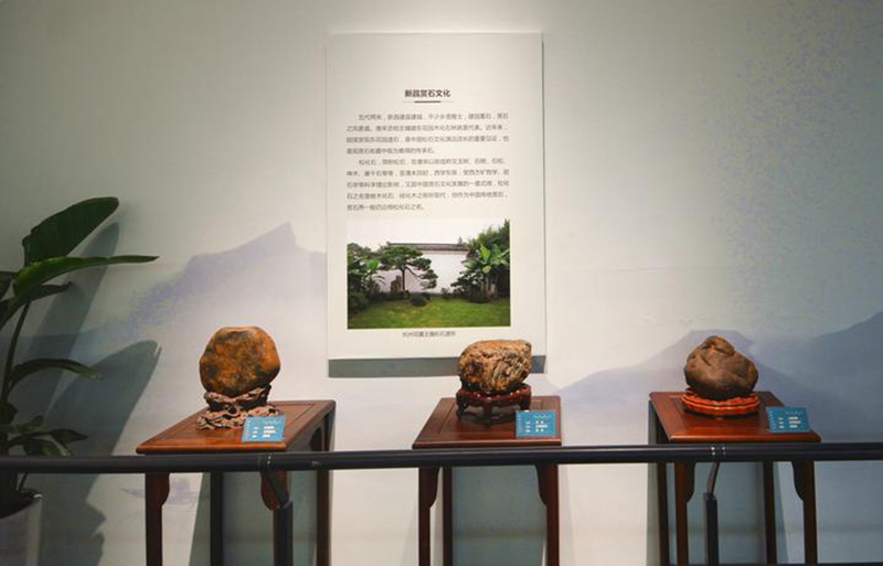 奇石展上的石文化 浙江自然博物院有场新昌观赏石精品展 奇石展上的石文化 浙江自然博物院有场新昌观赏石精品展