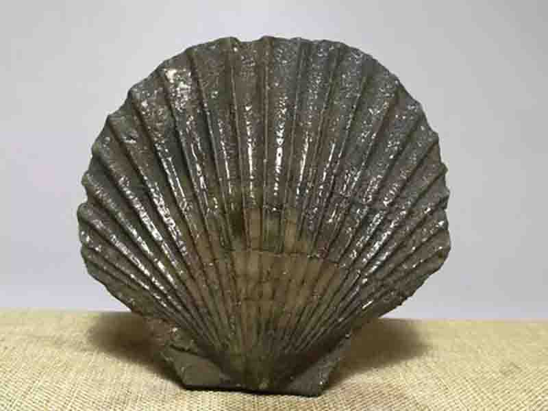 什么是“观赏石”?具有收藏价值吗? 什么是“观赏石”?具有收藏价值吗?