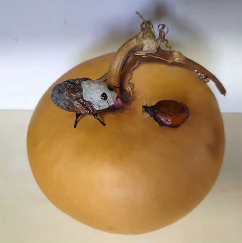 ����ʯͶ������δ��������Ƹ����� 