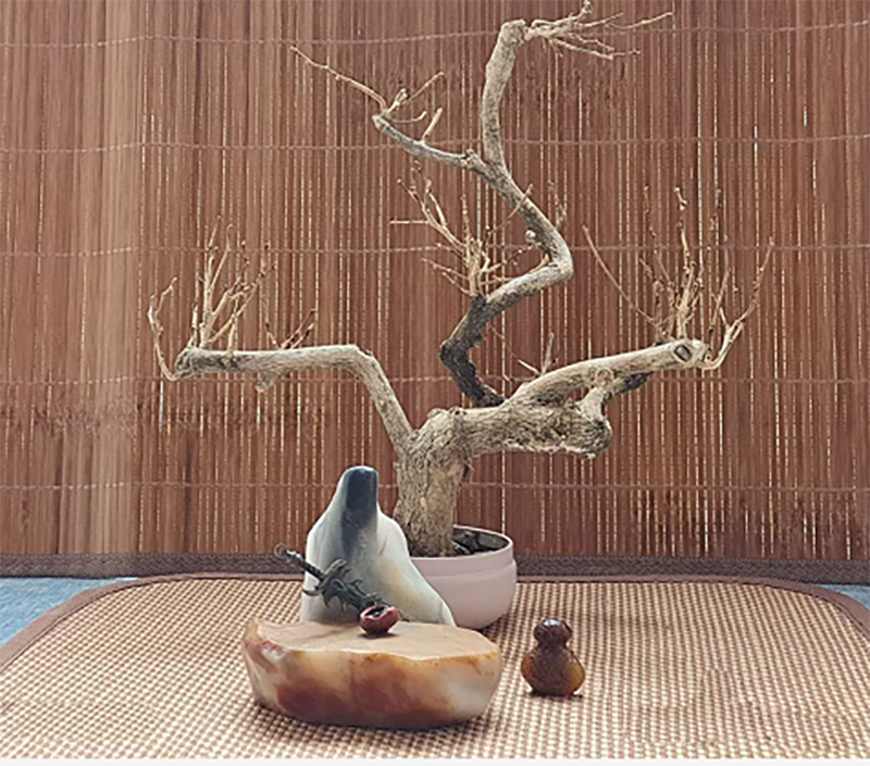 ��Ȼ�������ʯ����ľ��裡