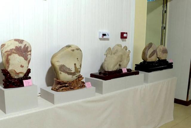 ����ع���ʯЭ���ٿ����Ľ��Ա��������߻�����