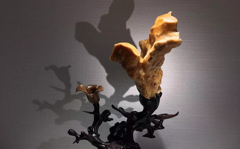 1611707065134047.jpg 640.webp (2).jpg