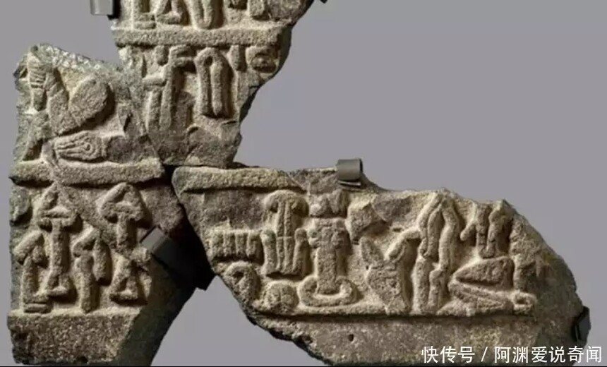 1724462565171896.jpg t11fd4c3301d64b9f413df59d6c.webp.jpg