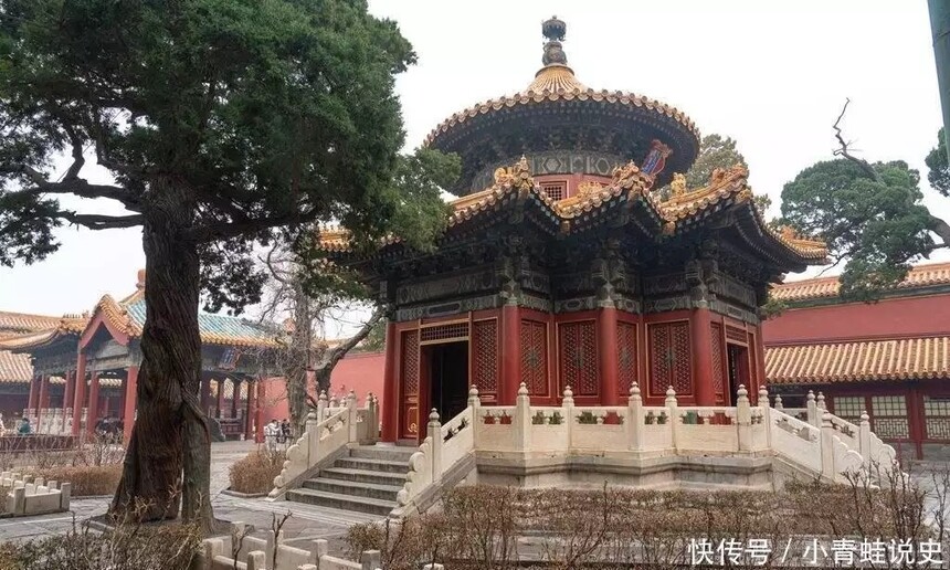 1724463145862935.jpg 001.webp.jpg