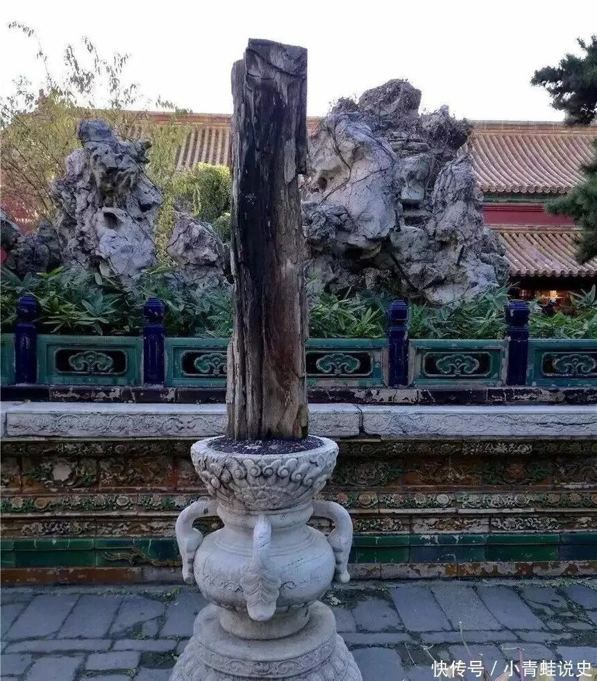 1724463251908996.jpg 005.webp.jpg