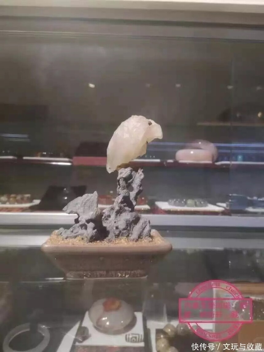 1727397672263578.jpg t11fd4c3301f0c514de602fb176.webp.jpg