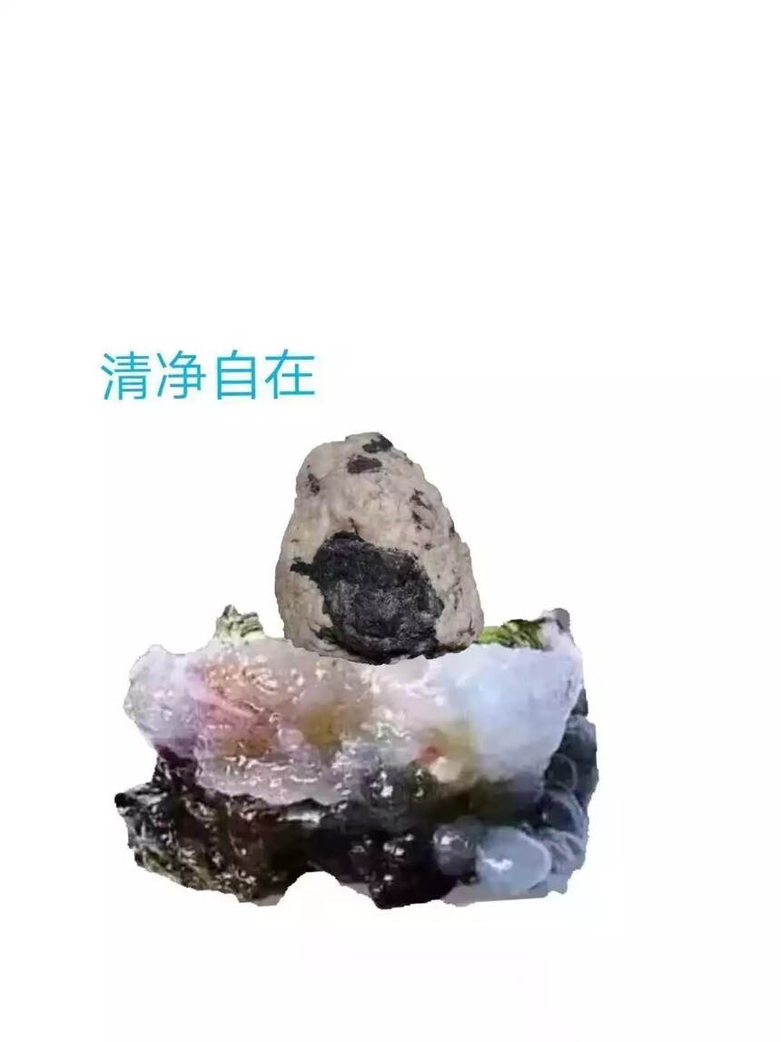 1727397702596222.jpg t11fd4c3301f31e68c560db78c9.webp.jpg