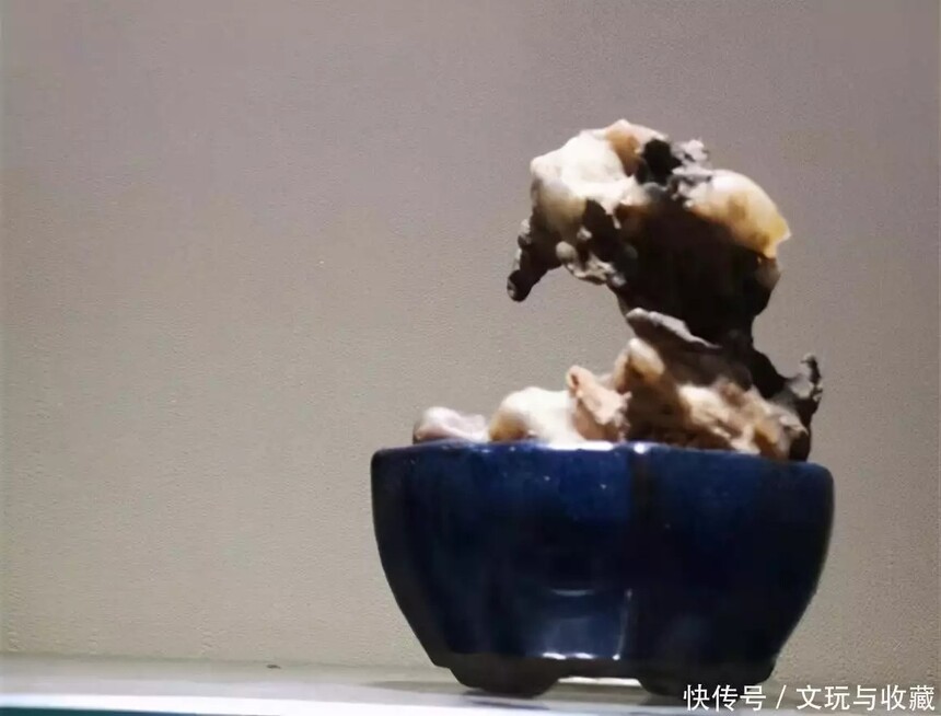 1727397727511862.jpg t11fd4c3301e94394a34d3b3896.webp.jpg