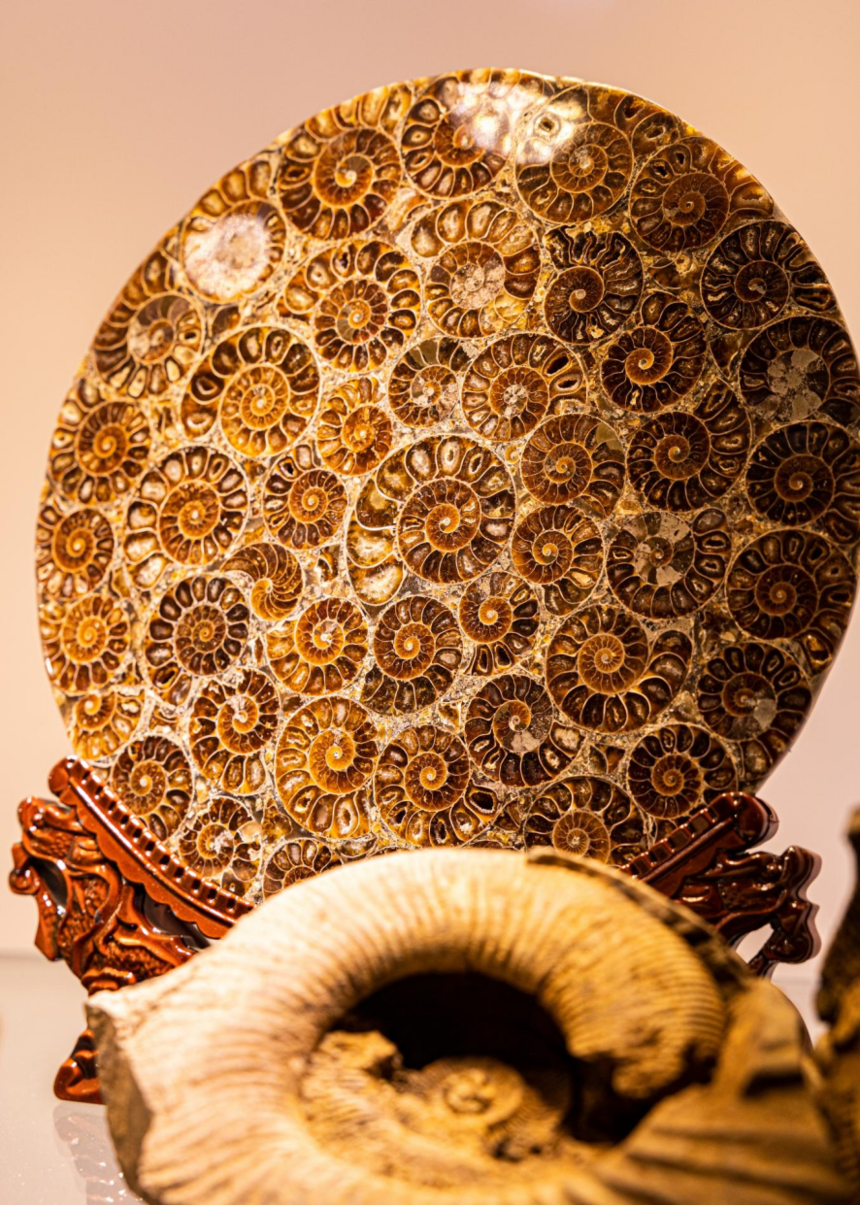 1728207133303058.png 07.png