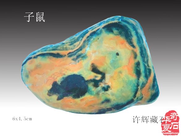 1732936938674366.jpg 001.jpg