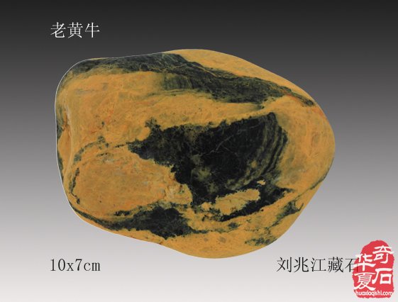 1732936960291771.jpg 002.jpg