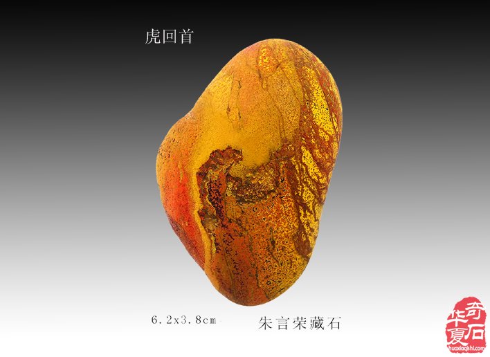 1732936983417756.jpg 003.jpg