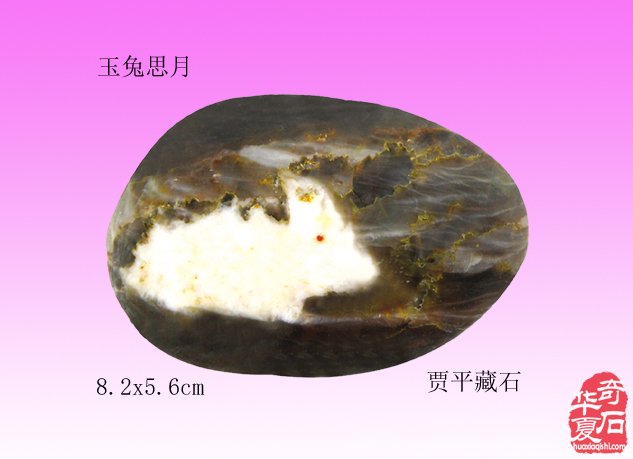 1732937012456186.jpg 004.jpg