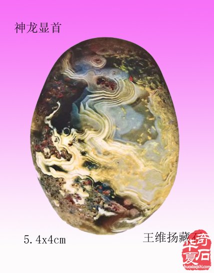 1732937041961231.jpg 005.jpg