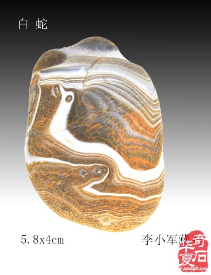 1732937068373926.jpg 006.jpg