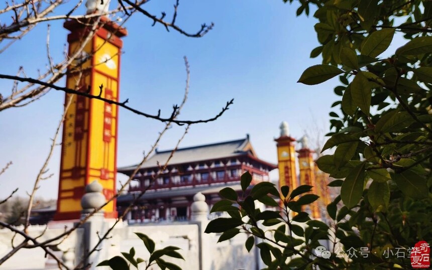 1736410022971375.jpg 017.jpg