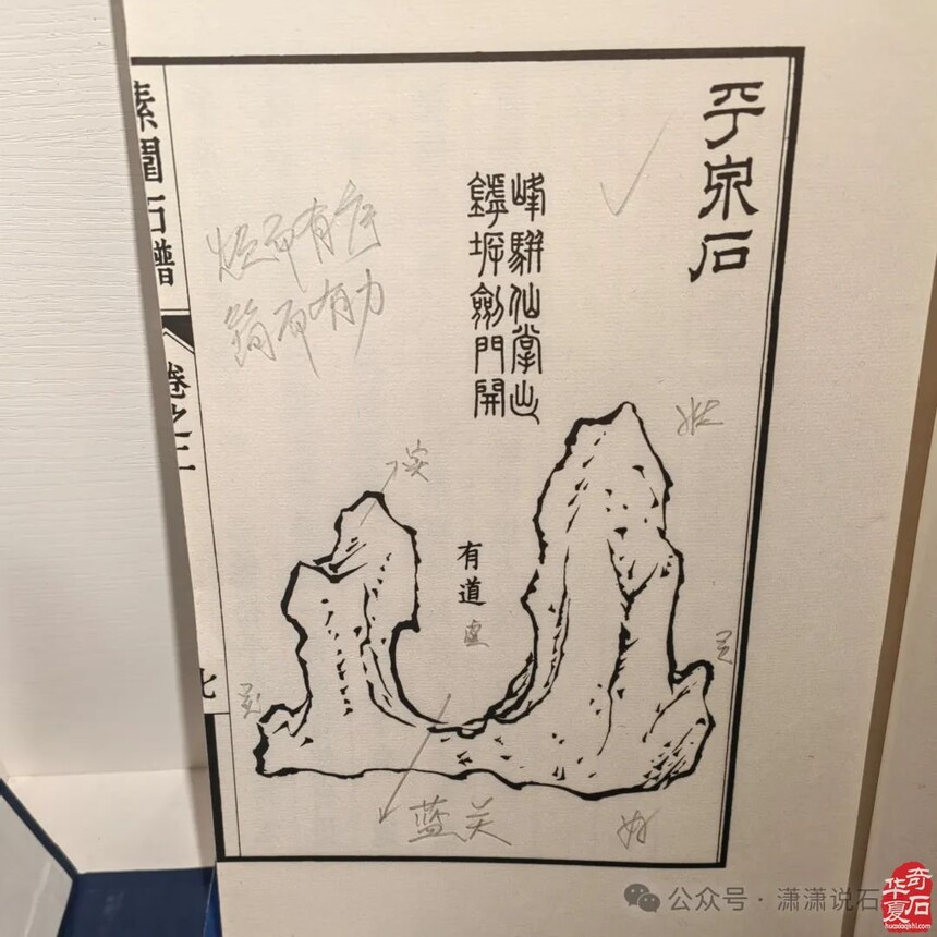 1740794155371432.jpg 007.jpg