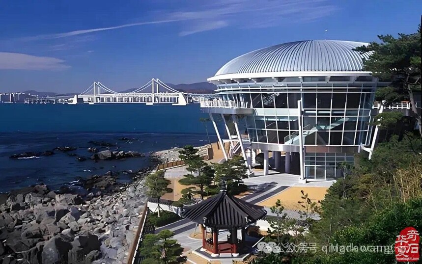 1751876901920944.jpg 4-250FFT61WE.jpg