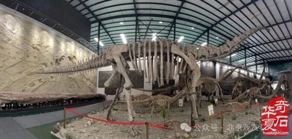 1765885321331007.jpg 55555.jpg