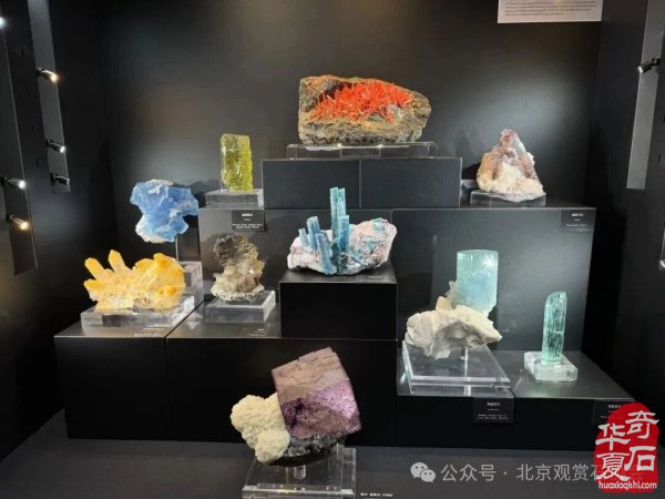 1765885391250774.jpg 77777.jpg