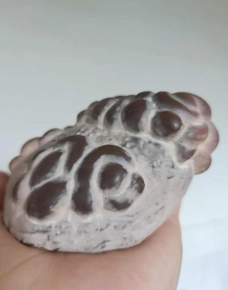 1769912690456716.png image.png